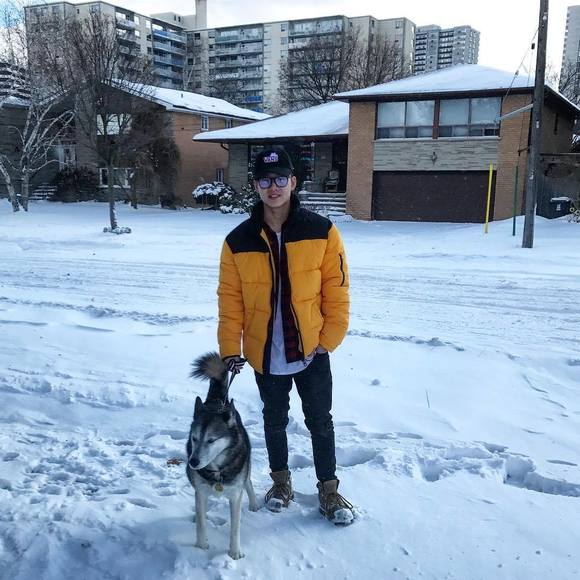 Meet your Posher, Chi - Picture 1 of 1